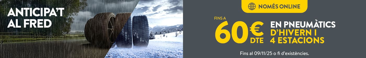 Fins a 60€ de descompte en pneumàtics d'hivern i 4 estacions a Rodi