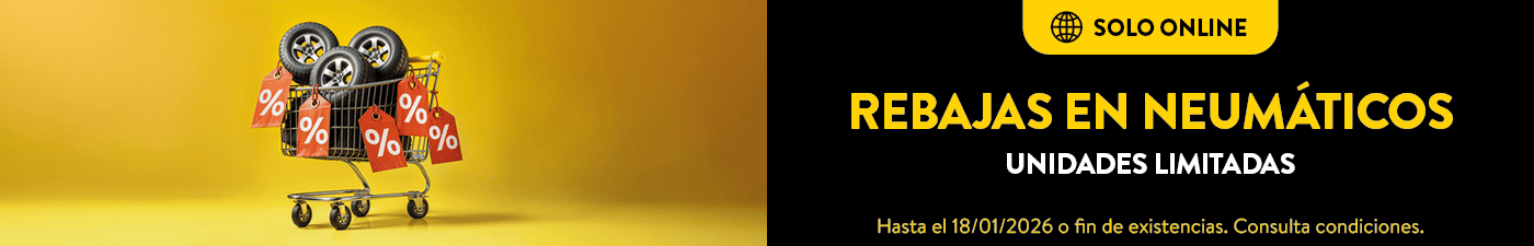 Rebajas Online en neumáticos en Rodi Motor Services