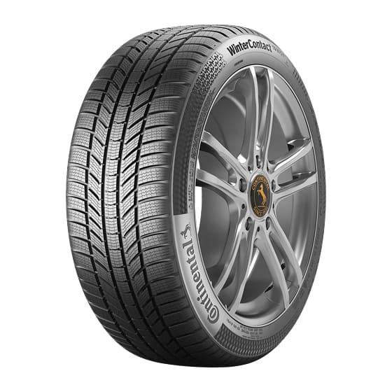 Product Image WINTERCONTACT TS 870 P