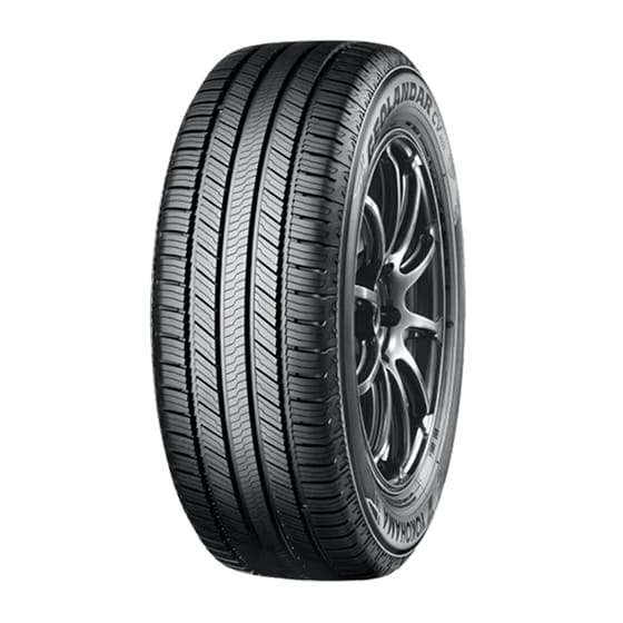 Product Image GEOLANDAR CV G058