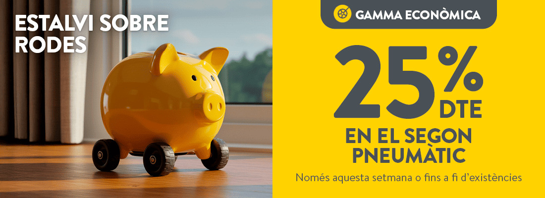 25% de descompte en el segon pneumàtic econòmic - rodi