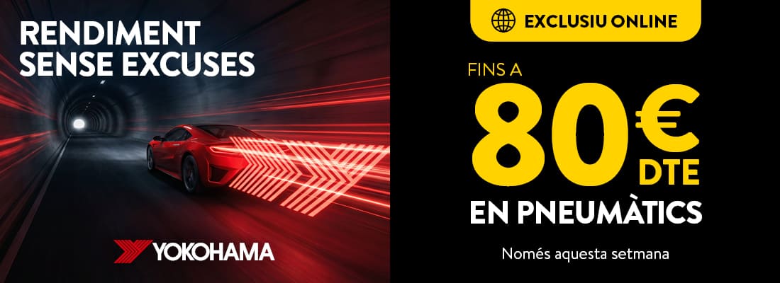 fins a 80€ de descompte en els teus pneumàtics michelin - rodi