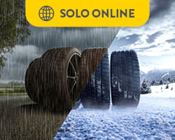 oferta: semana blanca rodi neumaticos