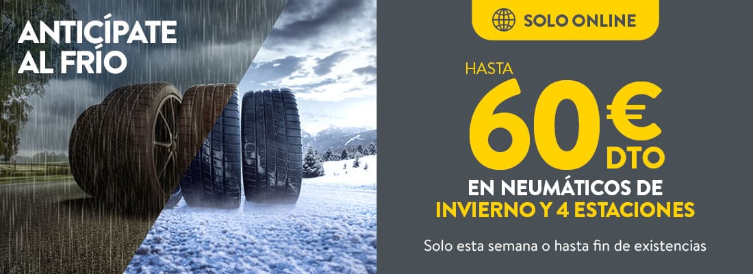semana blanca rodi - neumáticos de invierno y 4 estaciones con descuento - rodi